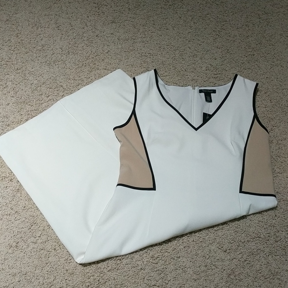 NWT Gorgeous Fitted Color Block WHBM Dress